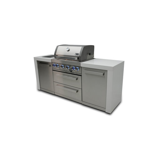 Wayfair Natural Gas Outdoor Kitchen Islands You'll Love in 2023